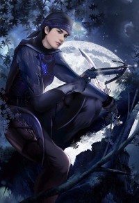 少龙风流